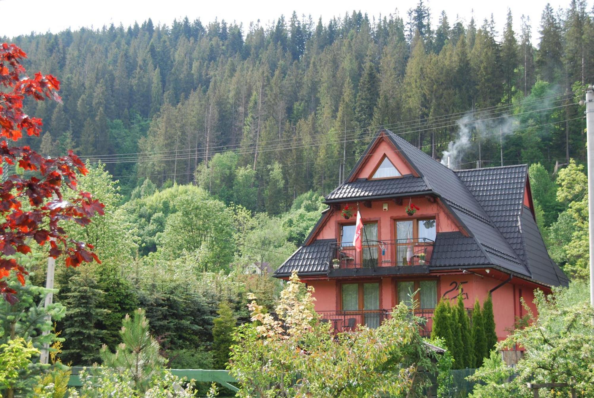 Willa Pod Banderą Zakopane Exteriör bild