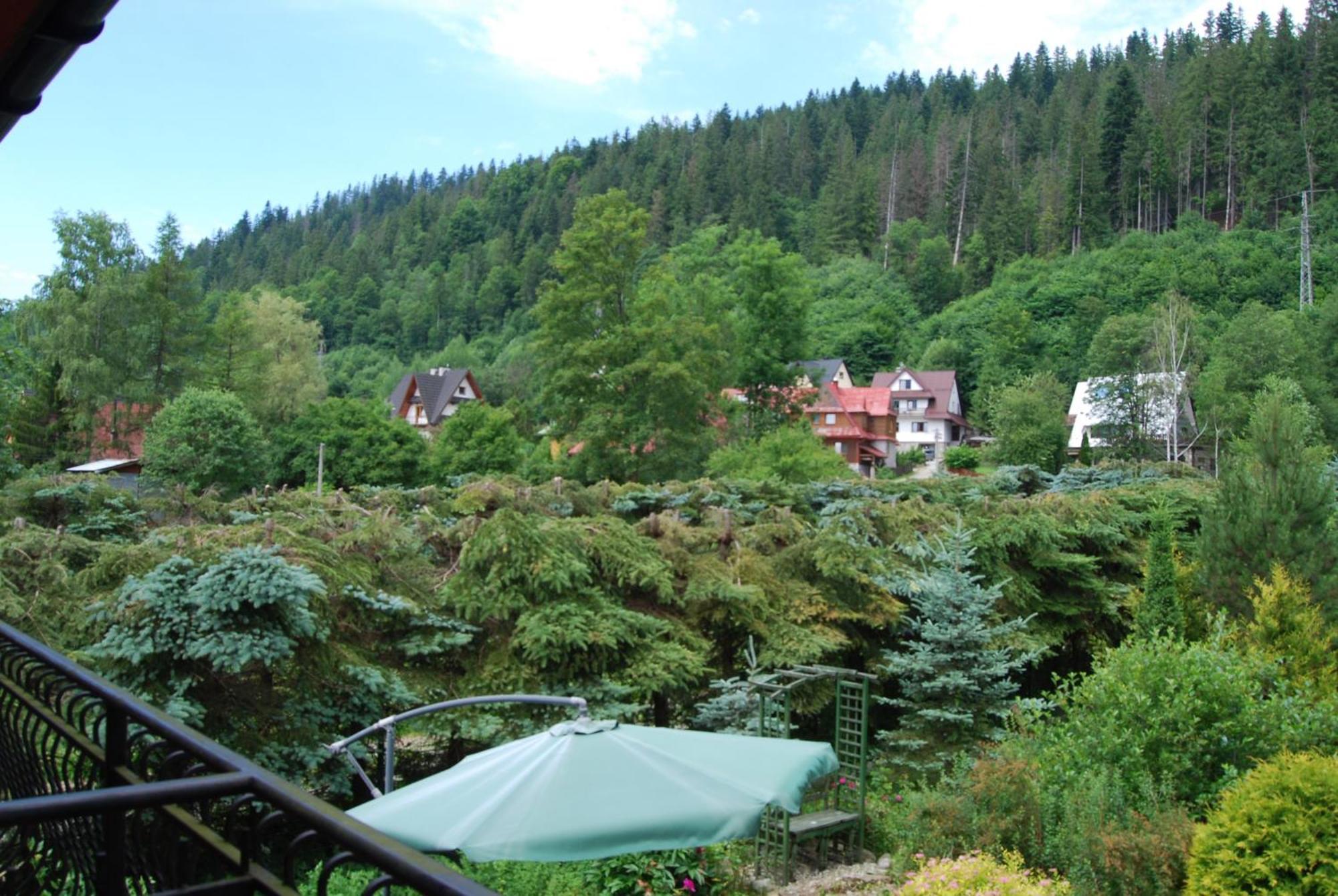 Willa Pod Banderą Zakopane Exteriör bild