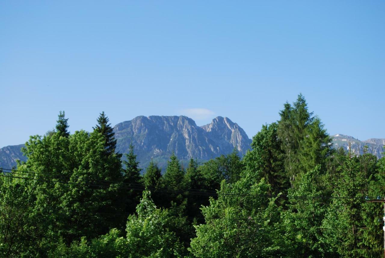 Willa Pod Banderą Zakopane Exteriör bild